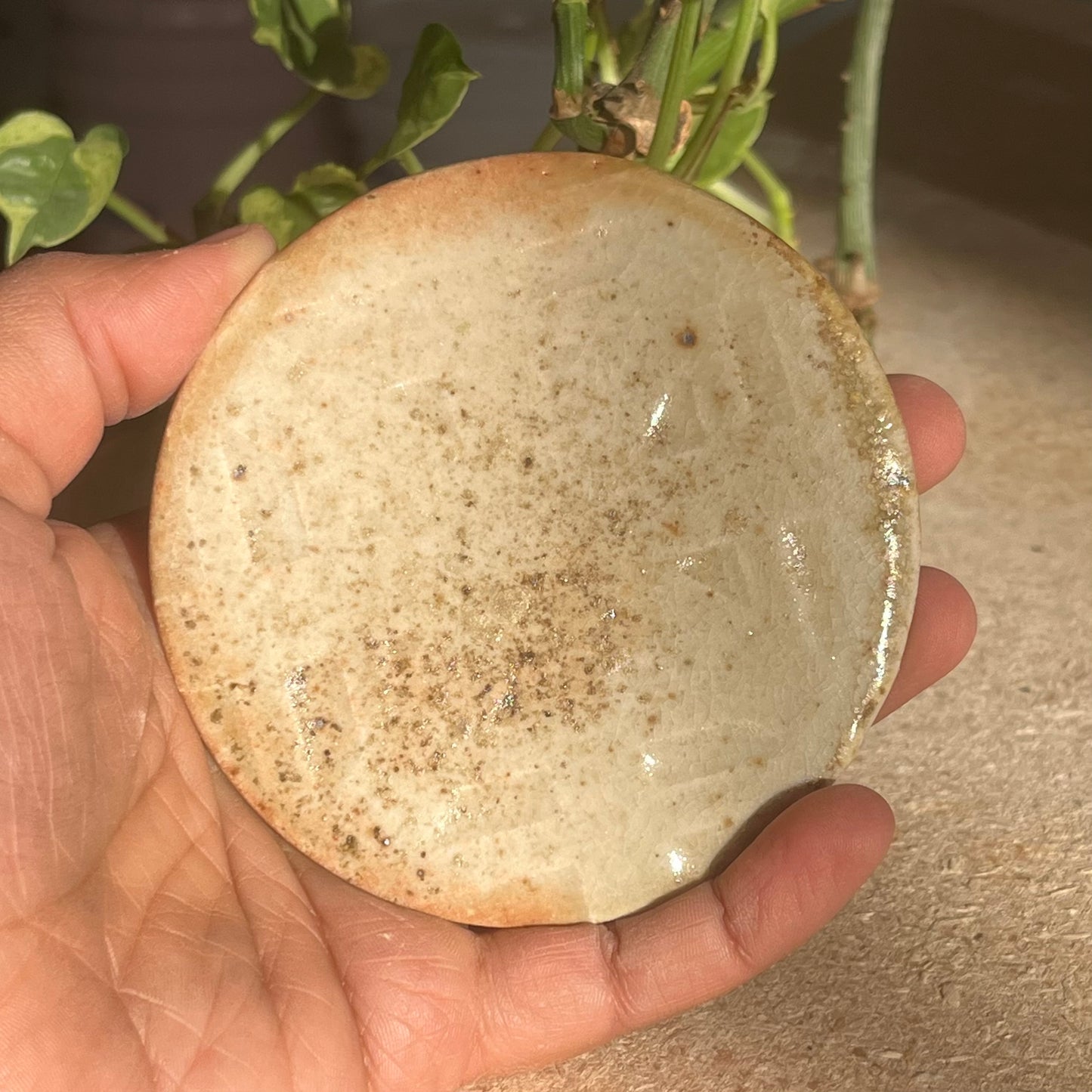 Wood Fired Fridge Magnet