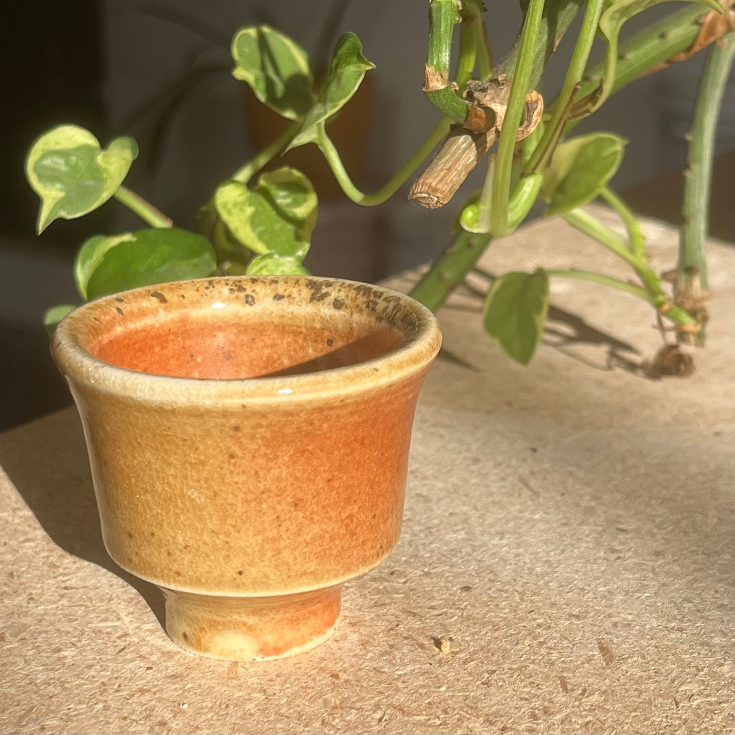 Wood Fired Shot Glass