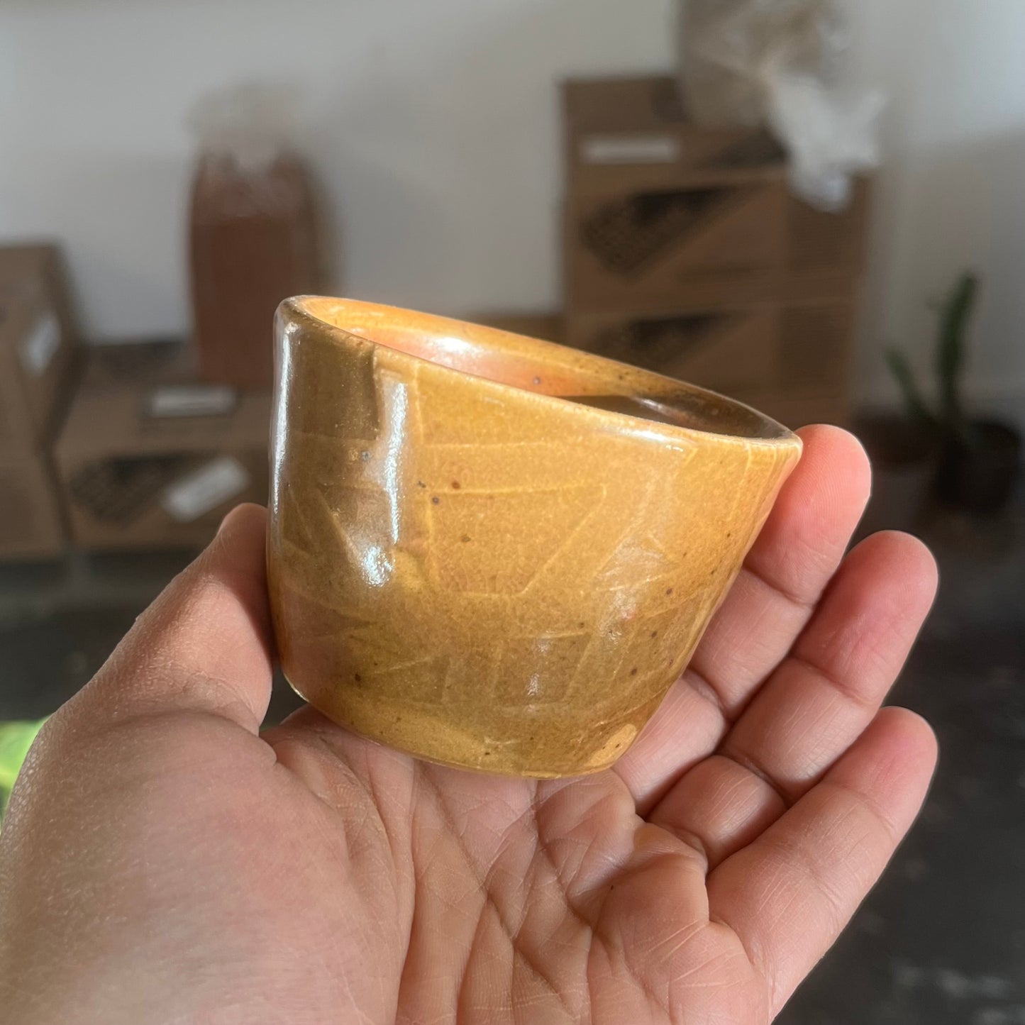 Small Water Etched Wood Fired Cup