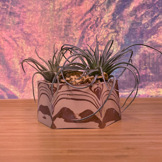 Faceted Planter