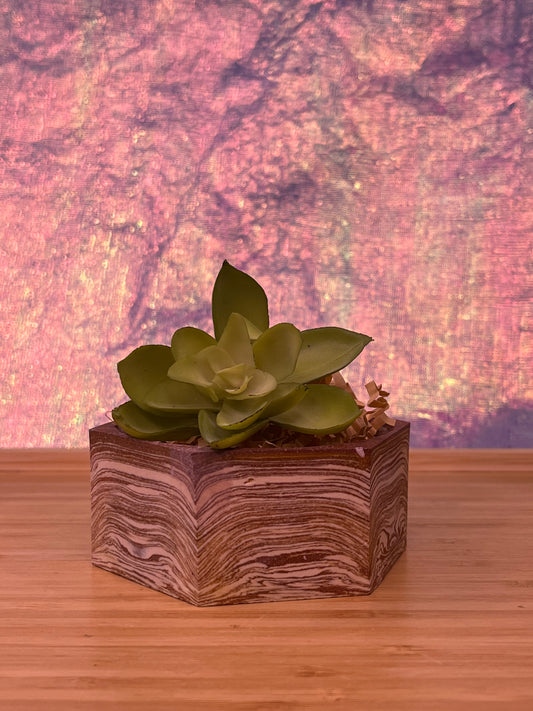 Small Hexagonal Planter